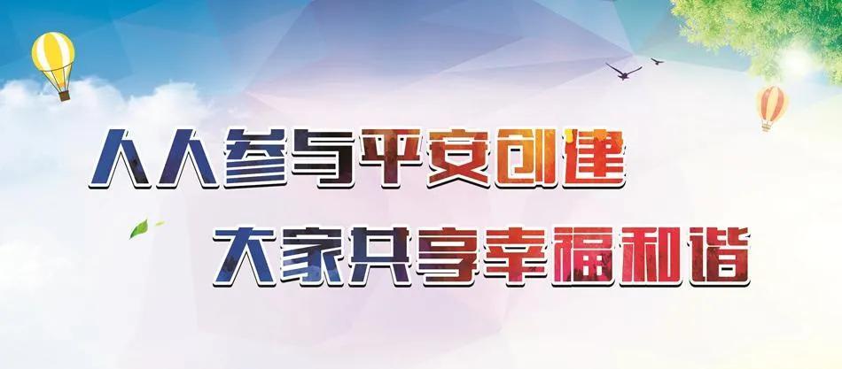 大咖齐聚共谋社会治理新思路齐话平安建设新路径