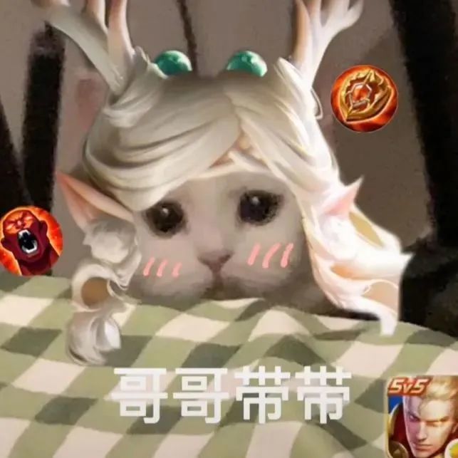 王者荣耀猫头第39期瑶辅助猫咪头像辅助大件不是更好吗