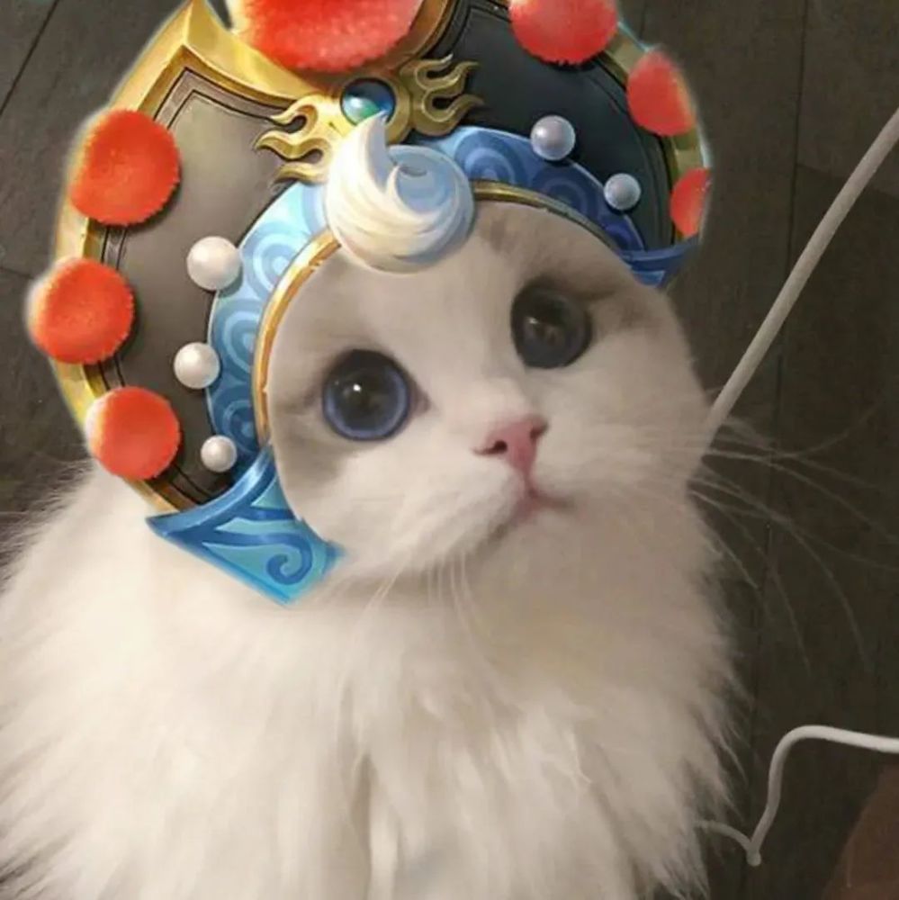 王者荣耀猫头第39期瑶辅助猫咪头像辅助大件不是更好吗