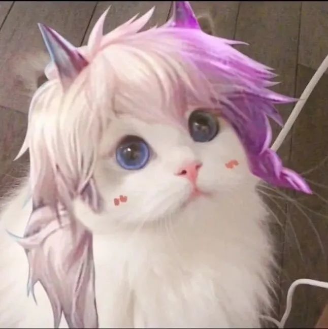 王者荣耀猫头第39期瑶辅助猫咪头像辅助大件不是更好吗