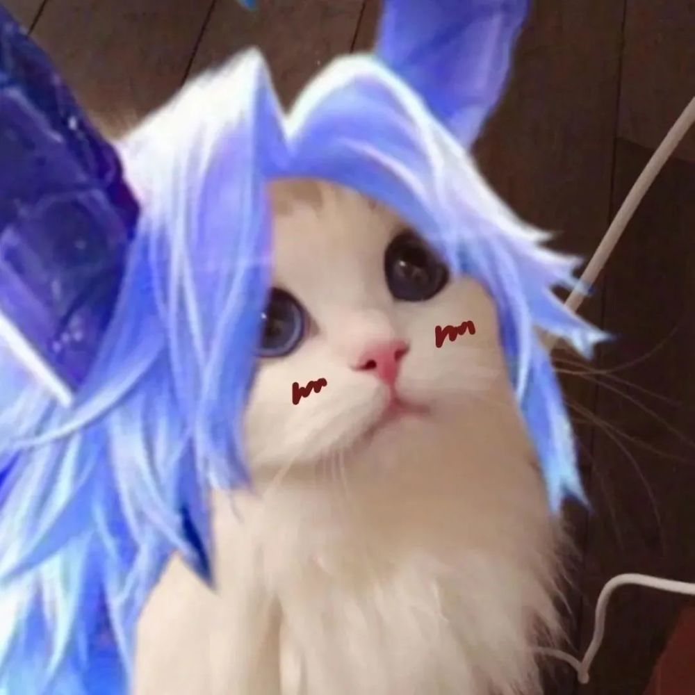 王者荣耀猫头第39期瑶辅助猫咪头像辅助大件不是更好吗