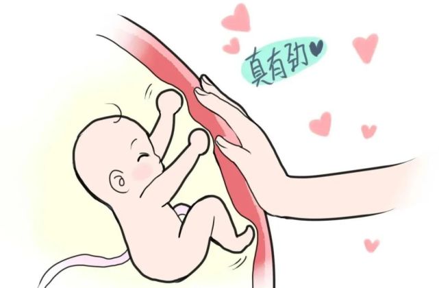 你知道胎动计数吗