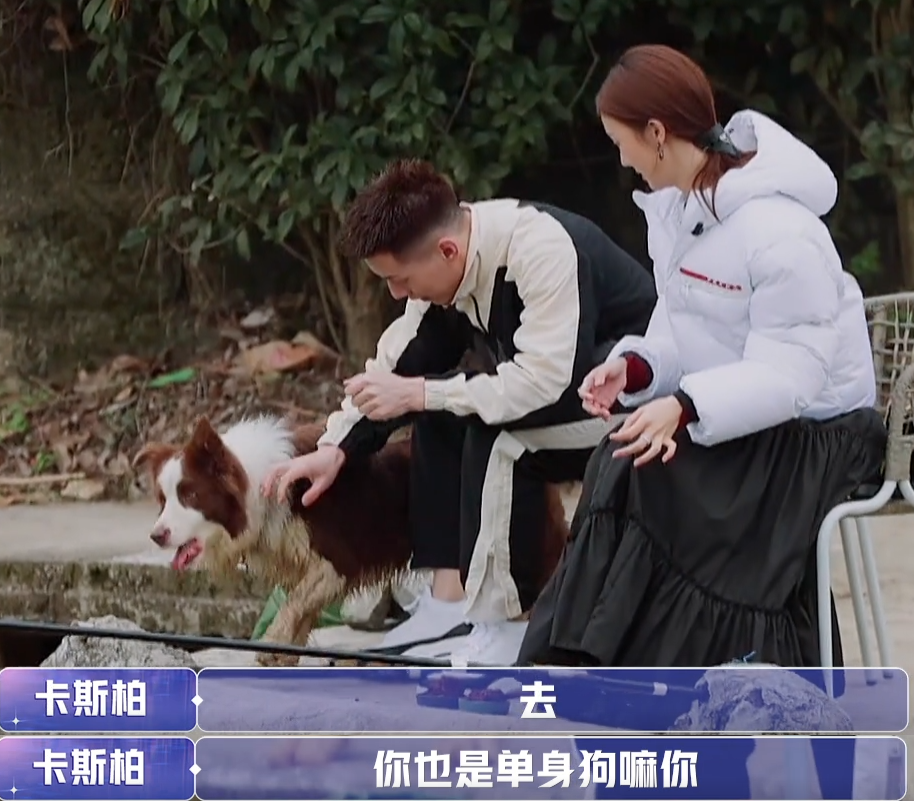 《女儿们的恋爱》金晨卡斯柏约会单身狗捣乱,卡斯柏轰狗好心酸
