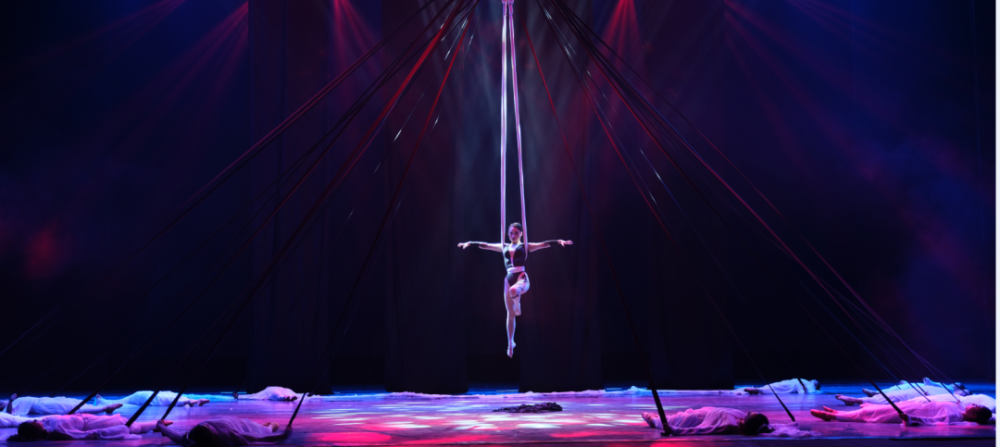 吊床舞作品兰若寺十里平湖霜满天寸寸青丝愁华年