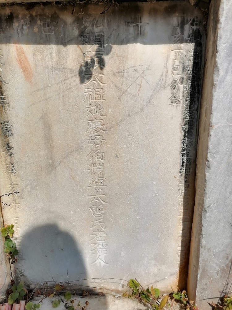 三僚廖氏祖坟猛虎跳墙形葬后人丁大发