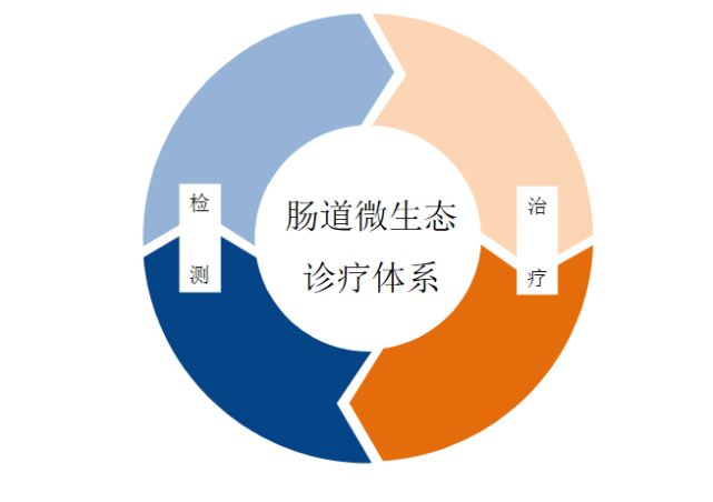 重视肠道微生态平衡,提升身体免疫力