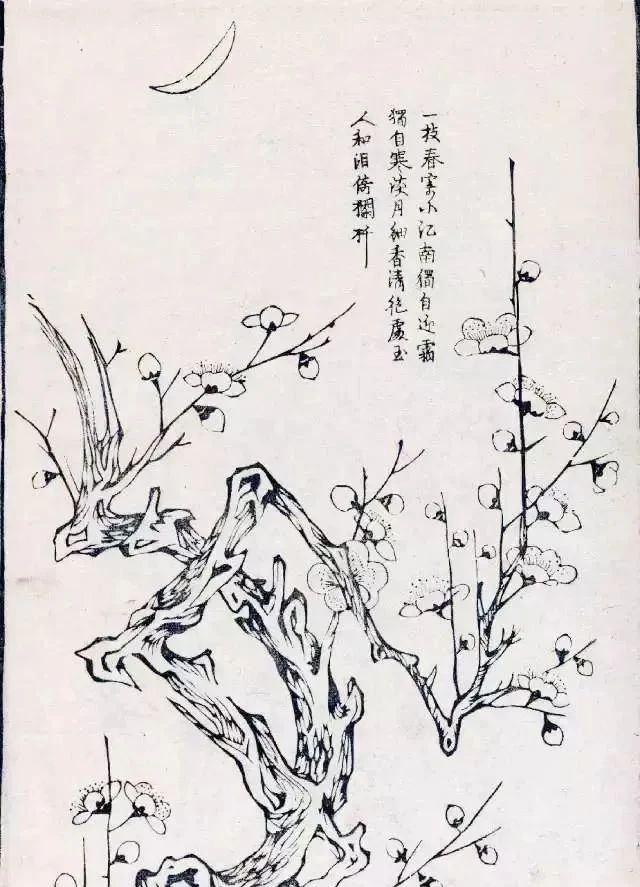 中国画-梅花谱!