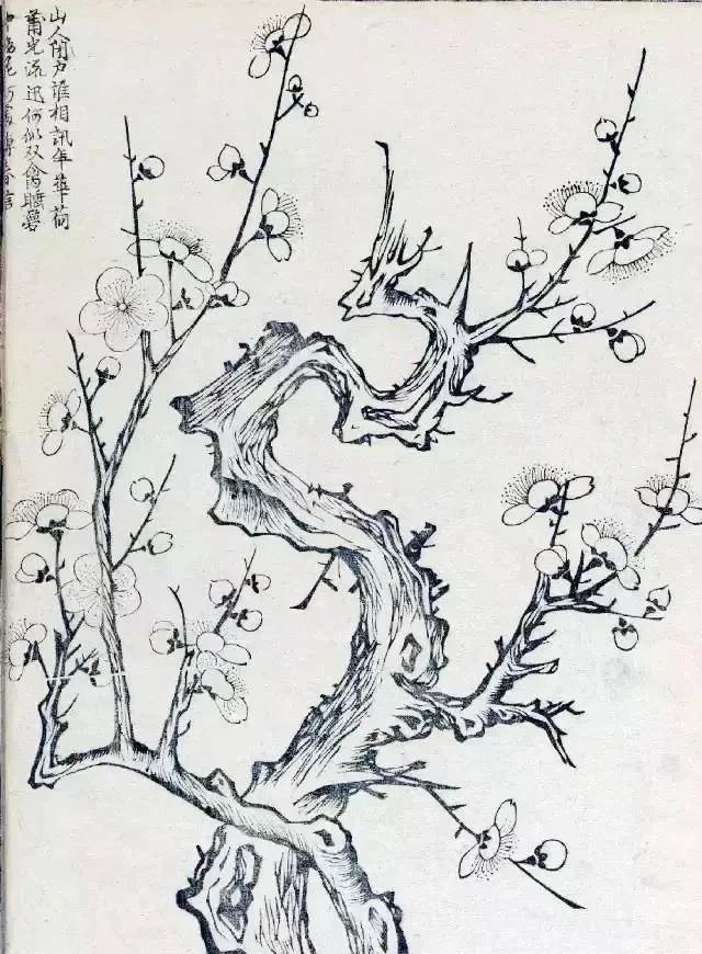 中国画梅花谱