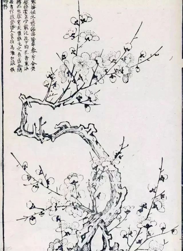 中国画-梅花谱!