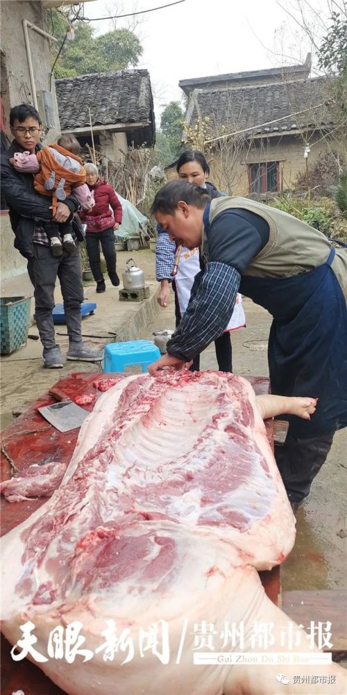 砍骨削肉分装一个小时不到,屠户就已经把这头猪完全剖开,砍成按张阿姨