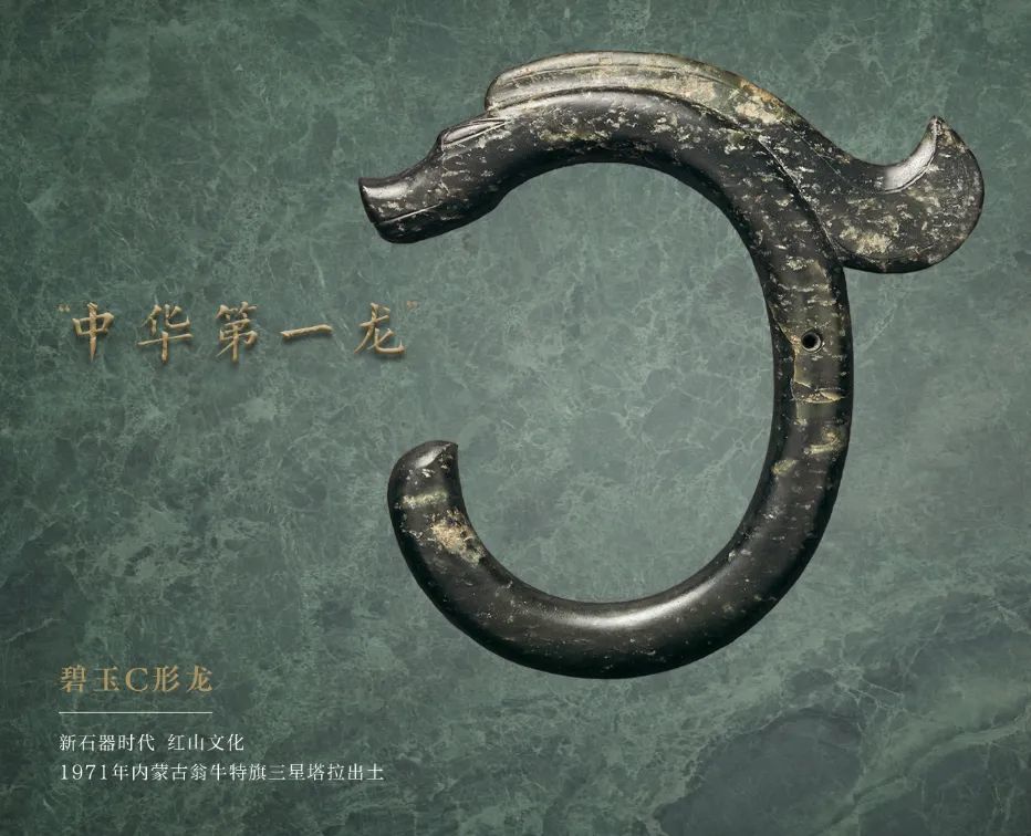 中华第一龙和它的小伙伴视频长图