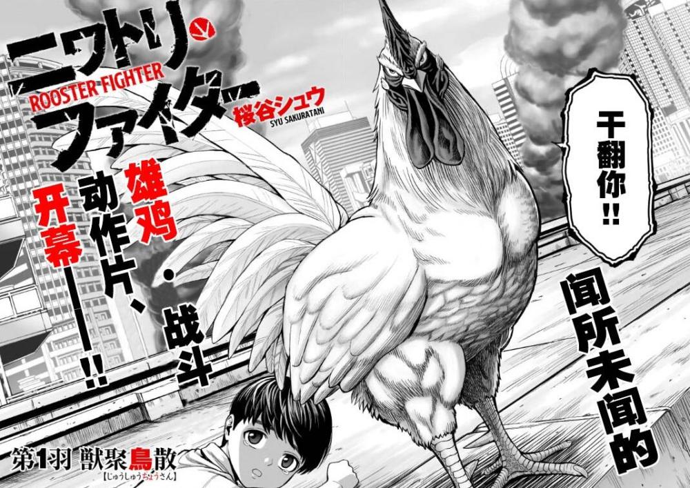 最近的新漫画中也不乏有质量极高的存在,比如这部《rooster fighter》