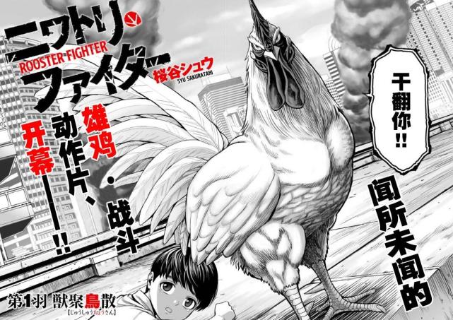 漫画推荐 战斗鸡 成主角 设定酷似 一拳超人 神作预定 鸡之助 漫画 一拳超人 设定