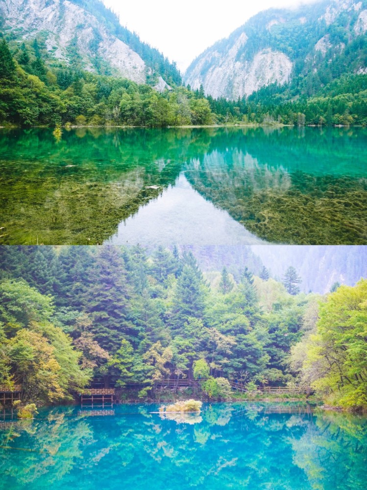 在四川九寨沟热爱的土地上留下,获得居住权.地震也一样