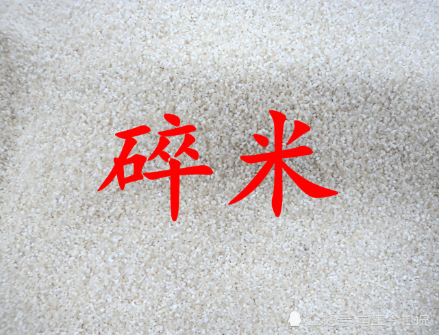 印度出口到中国的大米只要1元1斤 有其特殊性 实际上并非如此 腾讯网