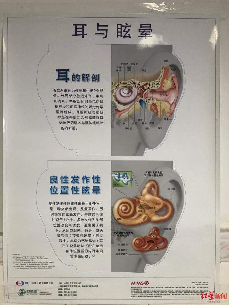 王俊凯为啥会得那个让他退出跨年晚会的病因为耳石离家出走了