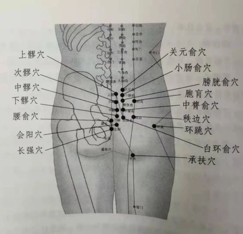 养生文化久坐伤肉疏通臀部经络是治疗腰腿痛的根本