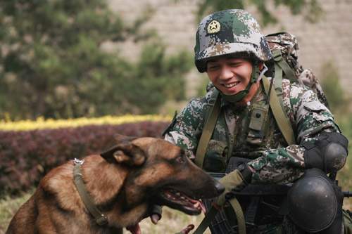 英國的做法太殘忍,解放軍的做法值得提倡|退役|解放軍|英國|軍犬