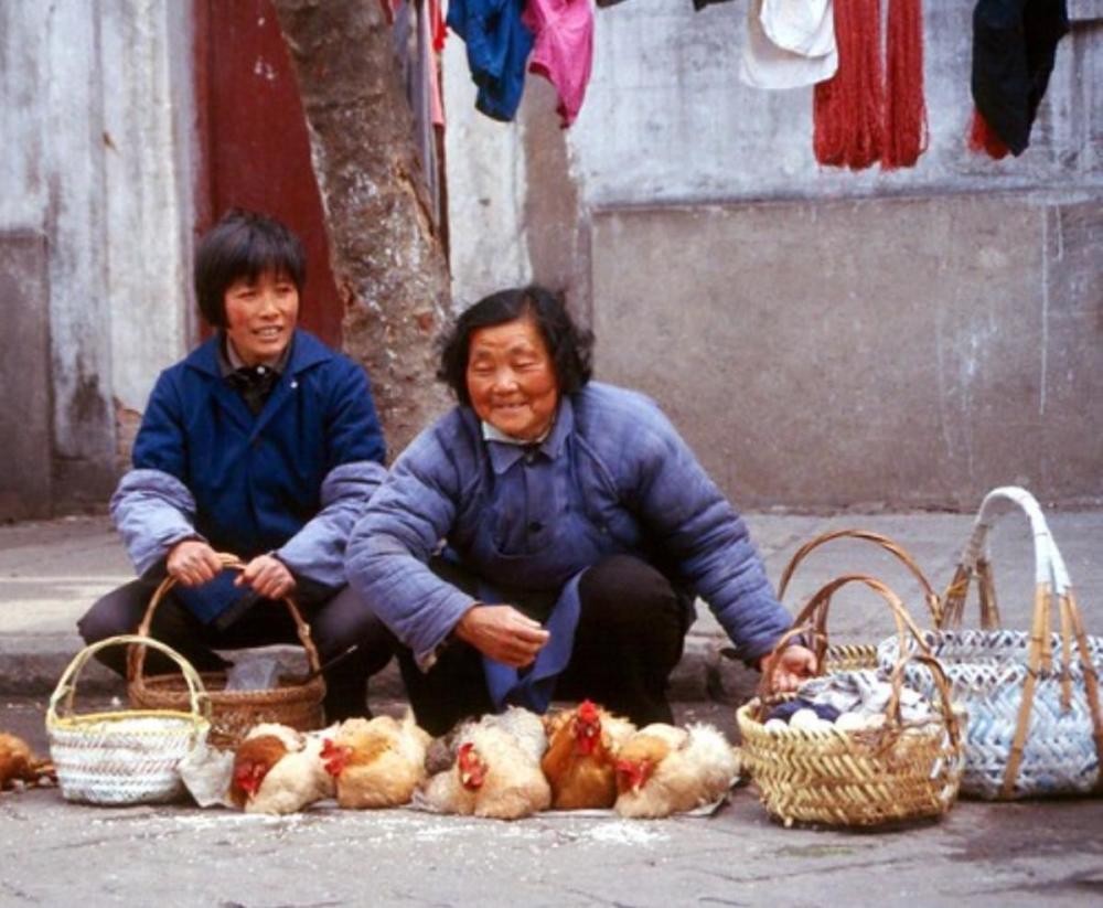 老照片:1982年的杭州,这才是记忆中的老杭州_腾讯新闻