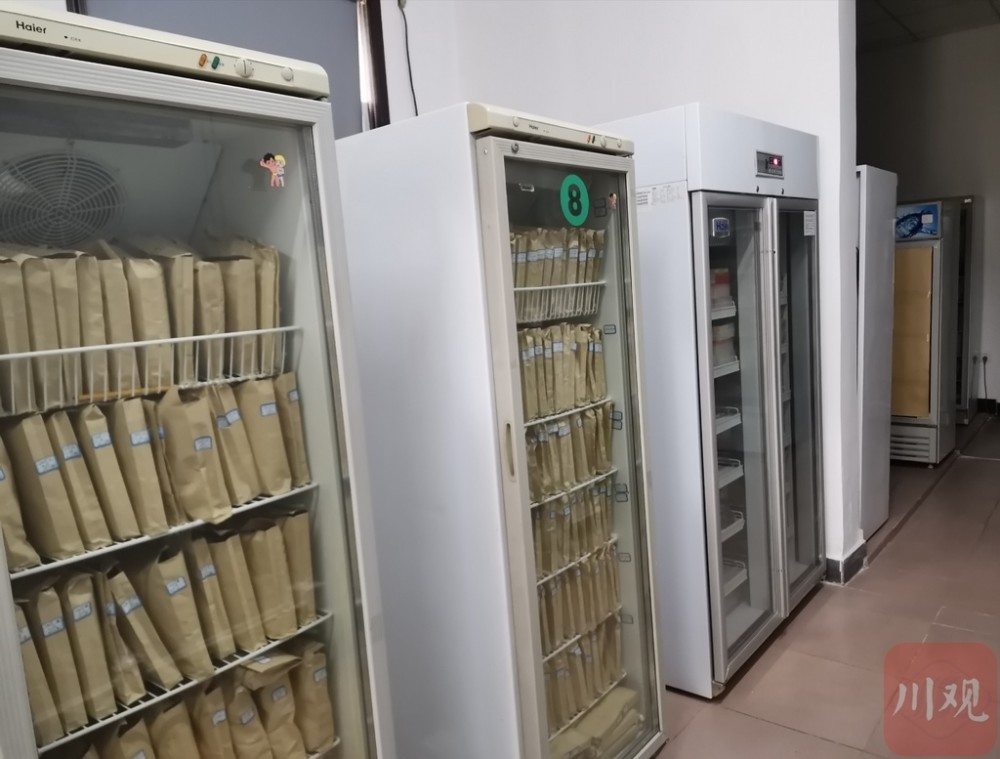 "菌种保藏非常重要,但它是一项公益性的工作,不能产生直接的经济效益