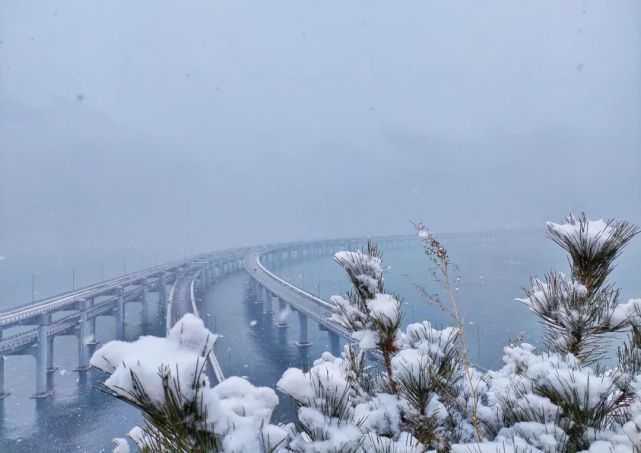 这个冬天,想去大连看雪_腾讯新闻