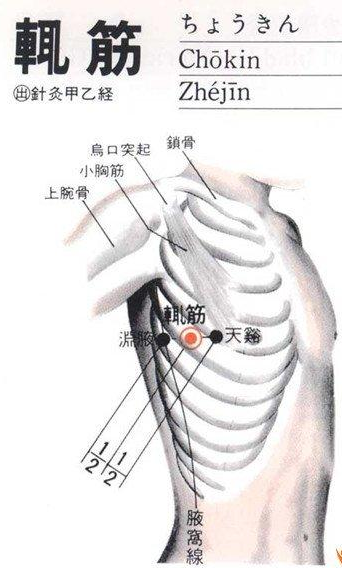 腋下大筋位置图图片