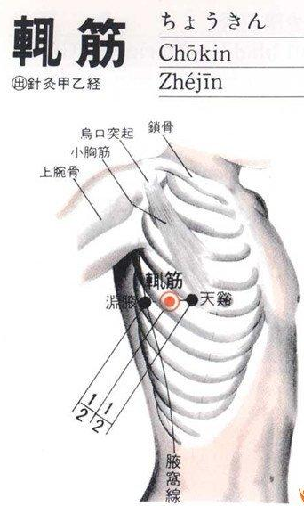 女人渊腋的准确位置图图片