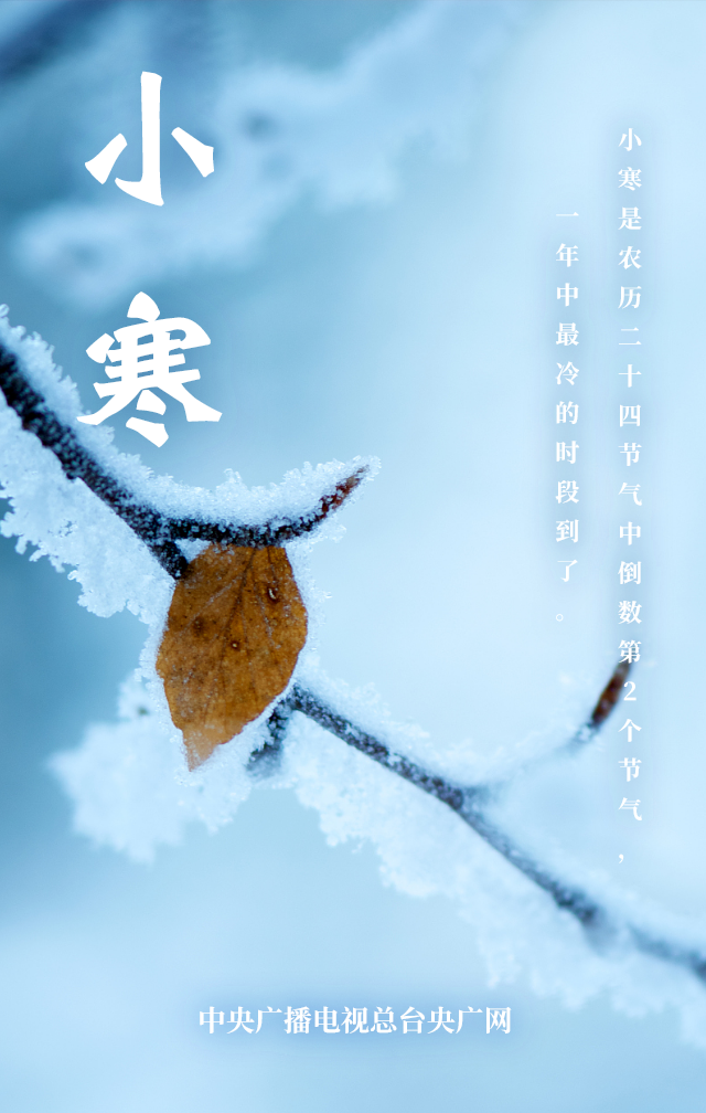 今日小寒最冷的时段到了