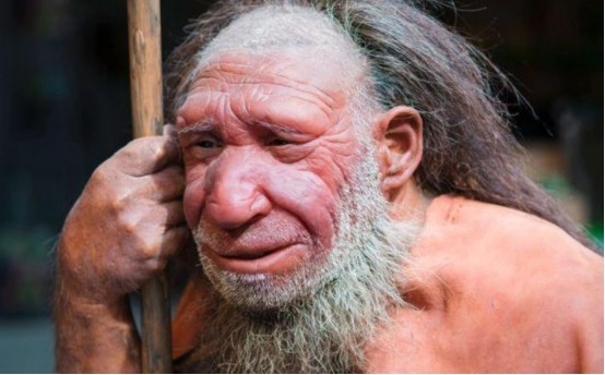 人类的基因是一代代传承下来的,那么,为何原始人类的"冬眠基因"在现代