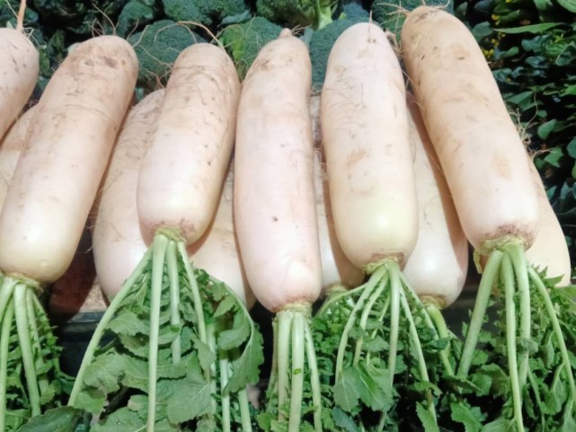 冬吃萝卜夏吃姜几个汤菜合一的白萝卜做法