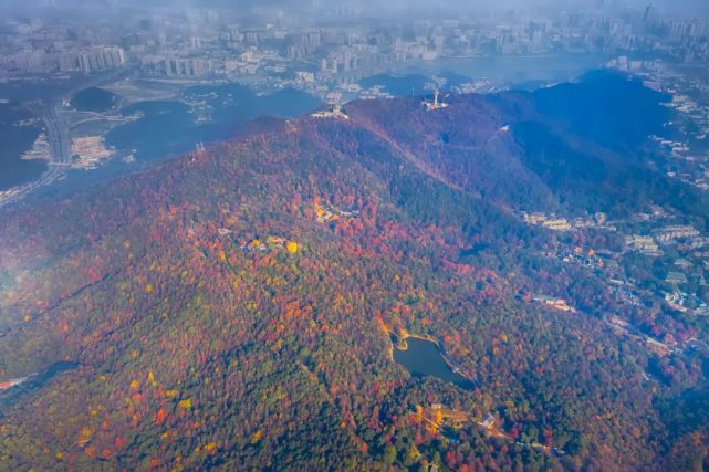 岳麓山全景图片图片