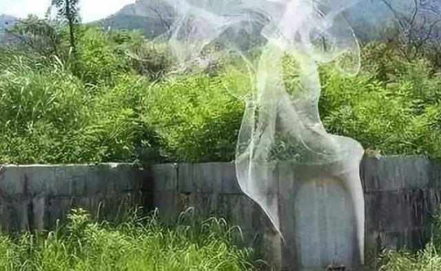 湖北村民发现自家祖坟"冒青烟"专家赶到一看,立即命令封锁大山_腾讯