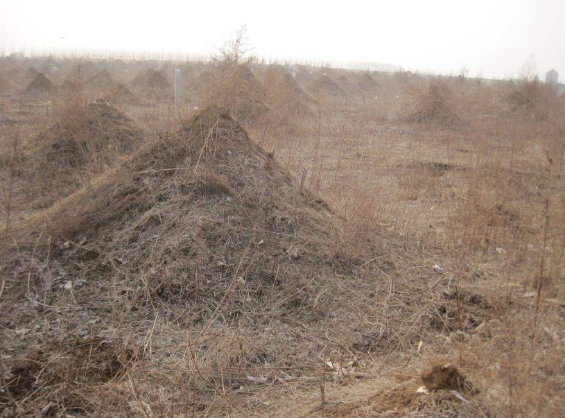 农村土葬时棺材被埋在地下为何还要堆上小土堆