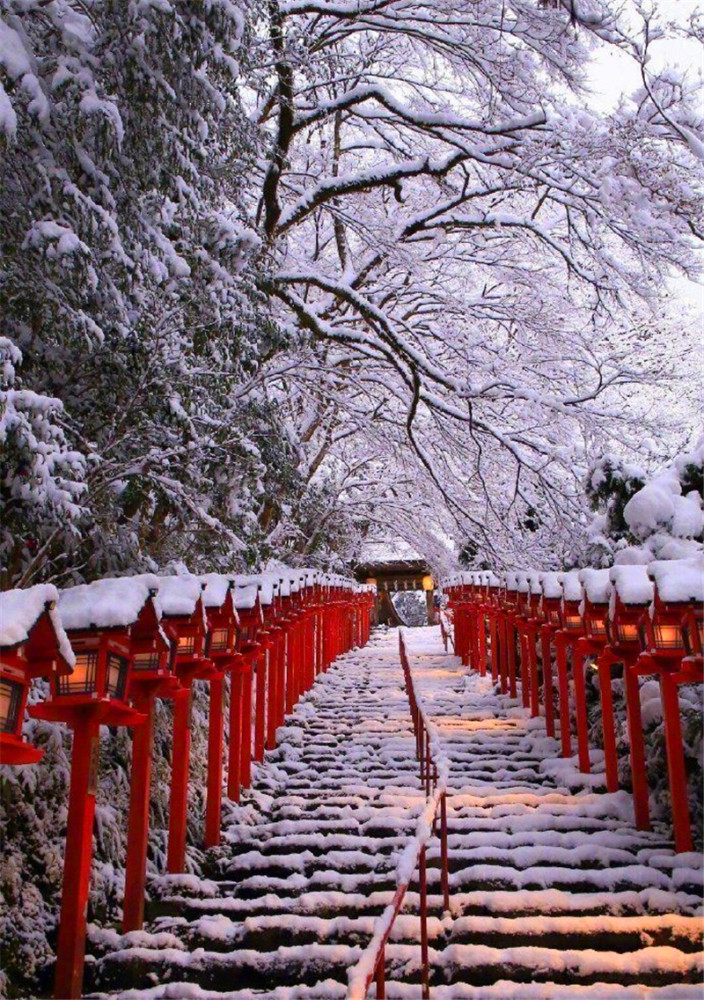 最美俳句大赏 许是好吃的雪花 乱纷纷地飘下 腾讯新闻