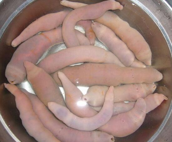 牛欢喜是什么(羊尾油是什么部位)