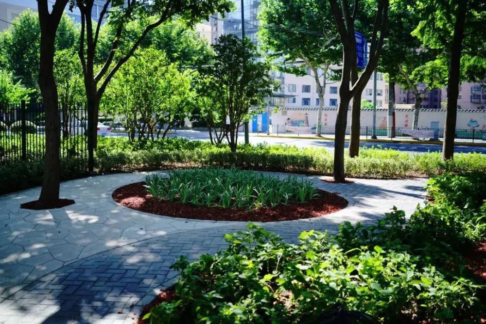 这些黄浦街头绿地,好看好玩等你打卡!