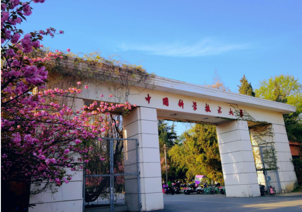 2020各省院士数量排名_2020中国各省“科学院院士”数量中,这个地方最容易