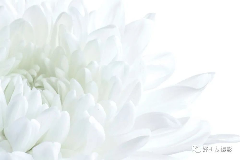 5个题材的20种高调片拍摄方法,教你的照片"高调"起来_腾讯新闻