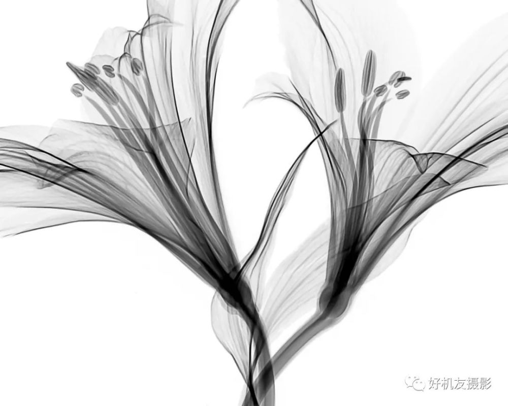 高调风光的意境美绝大部分国画,如果把它拍成照片,都是高调风光摄影.