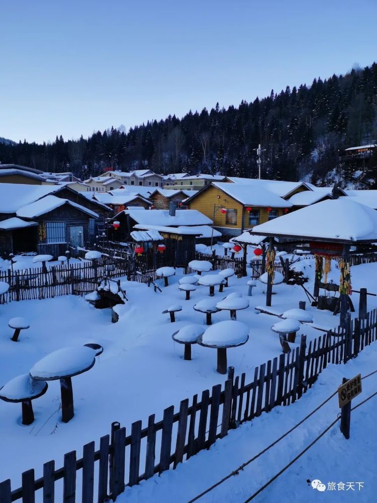 中国雪乡看雪景