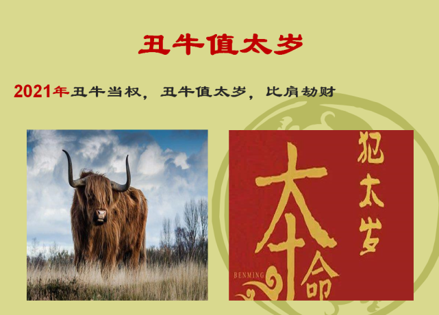 牛转乾坤2021辛丑年丑牛运势与策划