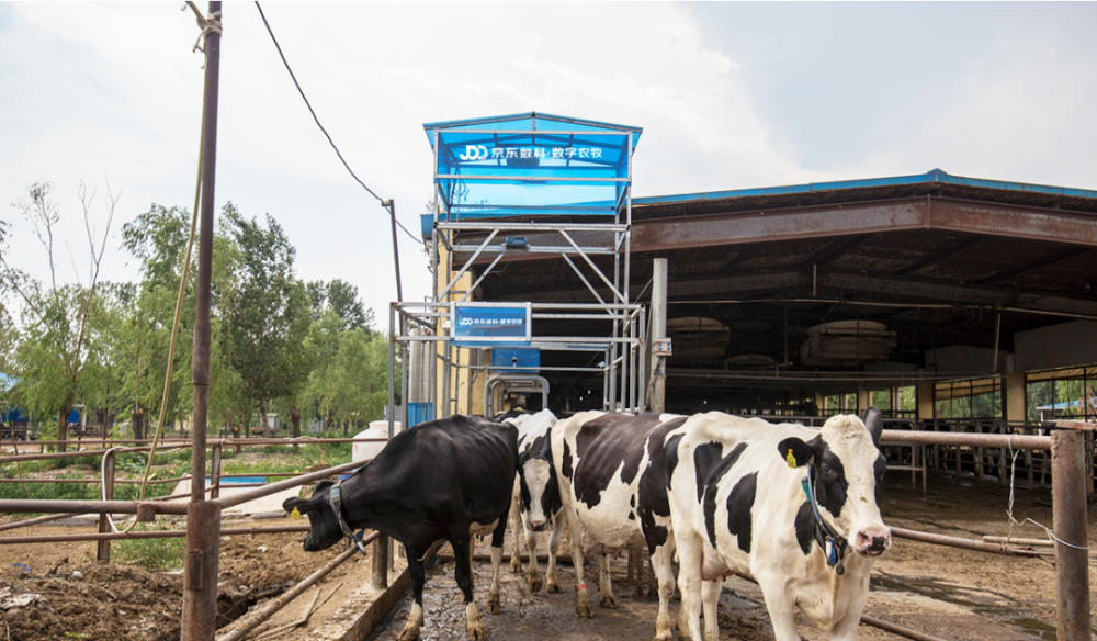 京东农场