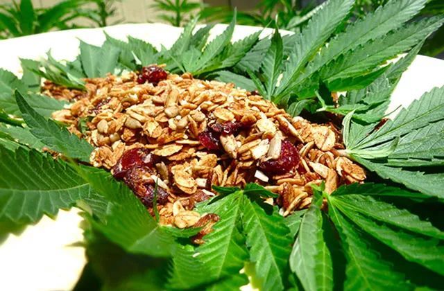 21年 大麻是用来 吃 的 大麻食用市场超好莱坞票房 汉麻视界 工业大麻网