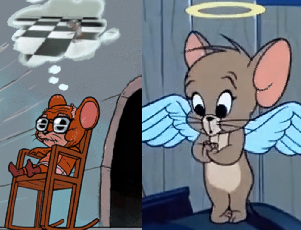 杰瑞杰瑞是猫和老鼠中的角色, 作为老鼠他敢于和猫咪战斗,一次又一次