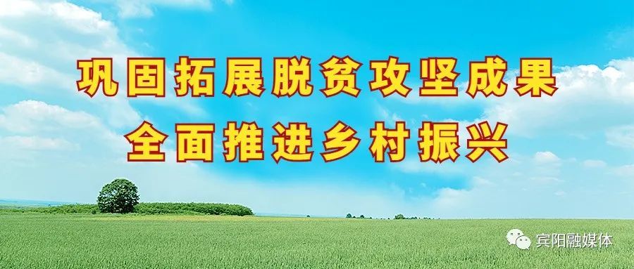 年南宁人口_2020年广西各地区常住人口数量排行榜:南宁常住人口数量位居榜首