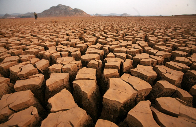 非洲人疑惑为啥我们几千年种不出菜的地中国人来了就听话了