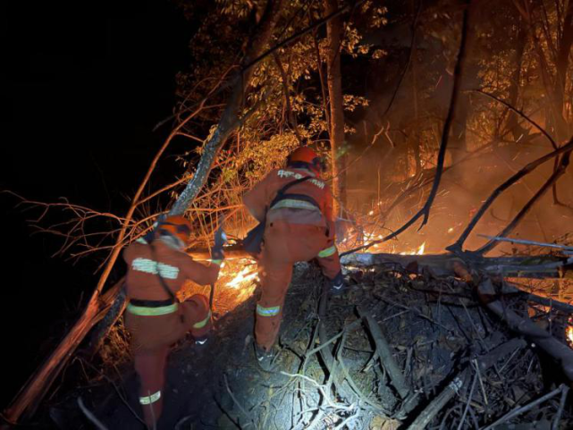 广东梅州突发山火 森林消防队伍紧急驰援