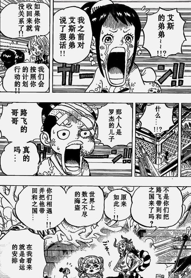 海贼王999话隐藏信息 超新星十一人太丢人了 凯多的果实被嫌弃 腾讯新闻