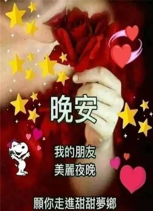 9张最美睡前晚安问候祝福图片带字精选晚上好问候祝福动画表情包 腾讯新闻