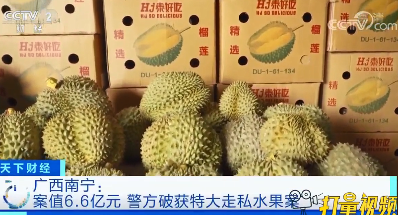 团伙走私榴莲等水果1.